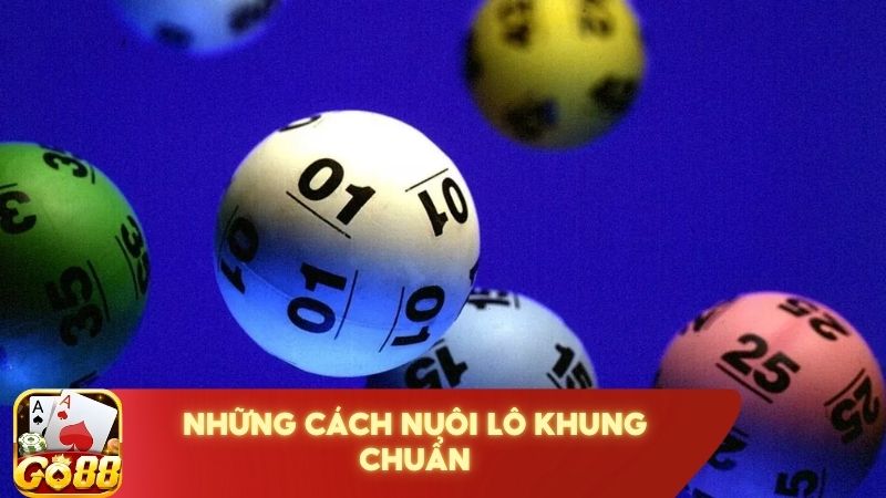 Huong Dan Nuoi Lo Khung Dem Lai Chien Thang Lon Cho Bet Thu 3